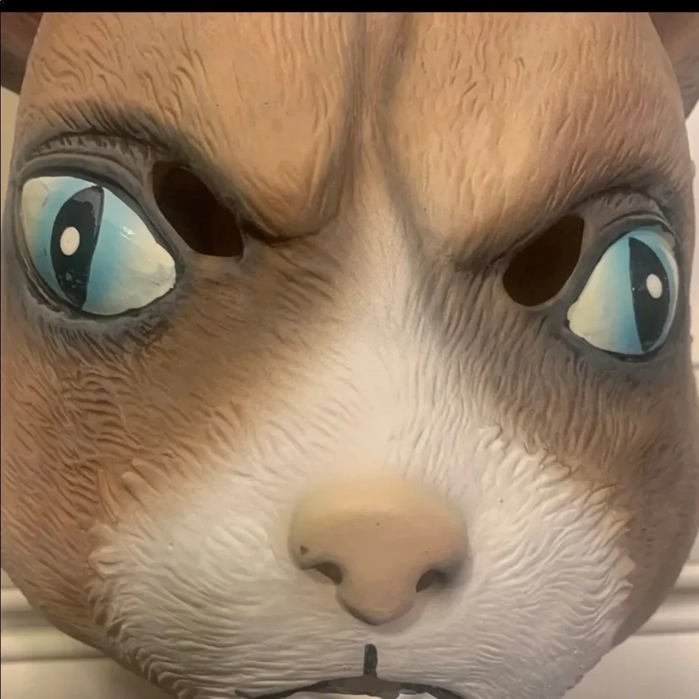 Cattitude mask Angry Cat Grumpy face